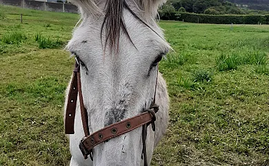Apartamentos Bouso en Ribadeo (Lugo) - Foto 20