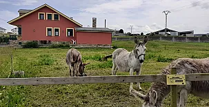 Apartamentos Bouso 0022