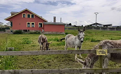 Apartamentos Bouso en Ribadeo (Lugo) - Foto 22