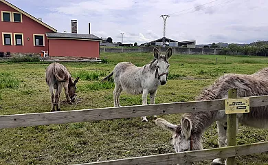 Apartamentos Bouso en Ribadeo (Lugo) - Foto 3