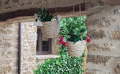 Masia Riu dels Arbres en Benasal (Castellón) - Foto 17