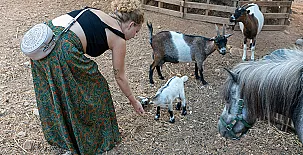 Alojamientos singulares, TIERRA DE ARTE 003