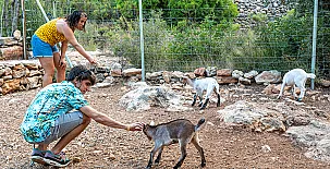 Alojamientos singulares, TIERRA DE ARTE 004