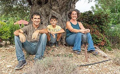 Alojamientos singulares, TIERRA DE ARTE en Sant Jordi. San Jorge (Castellón) - Foto 7