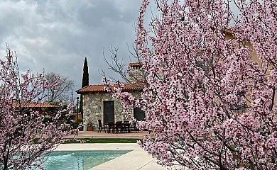 Espacio Shangrila.One en Uceda (Guadalajara) - Foto 12