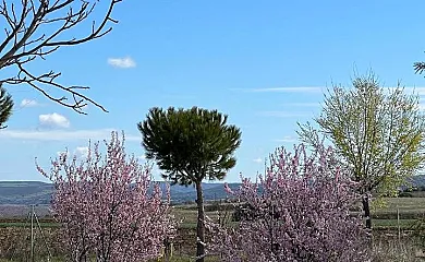 Espacio Shangrila.One en Uceda (Guadalajara) - Foto 16
