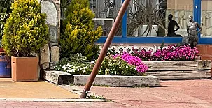 Espacio Shangrila.One 005