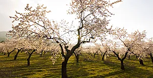 Cortijo los Pradillos 009
