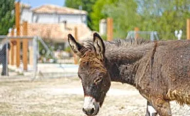 Cortijo los Pradillos en Ferez (Albacete) - Foto 13