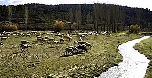 Cortijo los Pradillos 0014