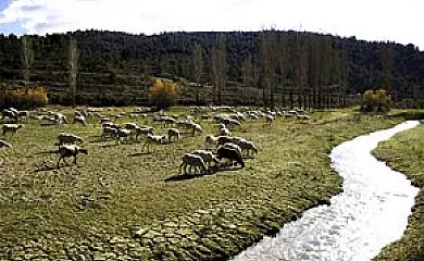 Cortijo los Pradillos en Ferez (Albacete) - Foto 14