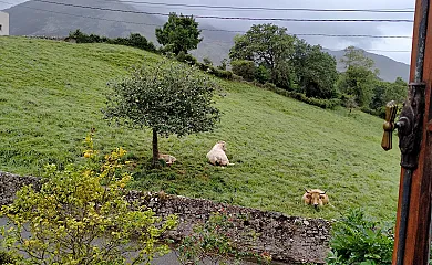 Vivienda Vacacional La Raposerina en Caravia (Asturias) - Foto 16