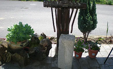 Abeta Zaharra en Getaria (Guipuzcoa) - Foto 14