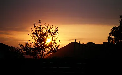 Abeta Zaharra en Getaria (Guipuzcoa) - Foto 22