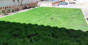 El Capricho de Andrea 003