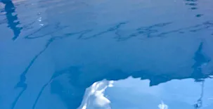 El Capricho de Andrea 002