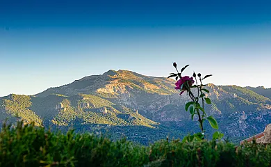 Casas Rurales Mirador del Mundo en Yeste (Albacete) - Foto 3