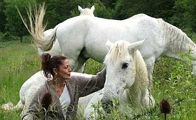 Mas el Tubert en Camprodon (Girona) - Foto 14