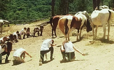 Mas el Tubert en Camprodon (Girona) - Foto 17