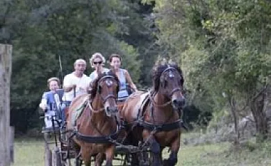 La Costa de Molló en Mollo (Girona) - Foto 8
