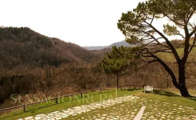 La Costa de Molló en Mollo (Girona) - Foto 13