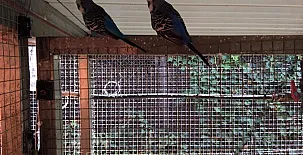 Ca n´Aleix y L'era de Cal Roger 008