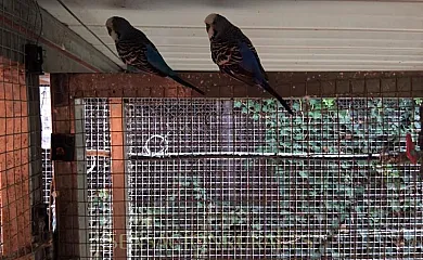 Ca n´Aleix y L'era de Cal Roger en Verdu (Lleida) - Foto 8