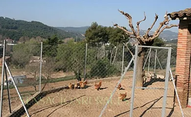Can Fàbregas del Bosc en L´Ametlla del Vallès (Barcelona) - Foto 6
