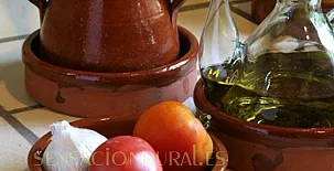 Can Fàbregas del Bosc 009