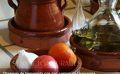 Can Fàbregas del Bosc en L´Ametlla del Vallès (Barcelona) - Foto 9