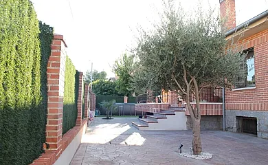 Aire de Pinares en Coca (Segovia) - Foto 9