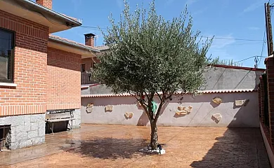 Aire de Pinares en Coca (Segovia) - Foto 19