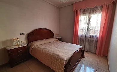 Aire de Pinares en Coca (Segovia) - Foto 23