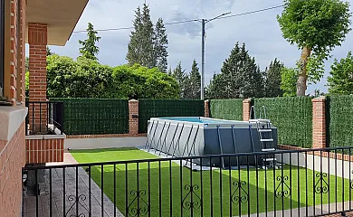 Aire de Pinares en Coca (Segovia) - Foto 2