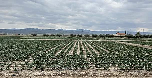 La Casa de Los Olmos 0021