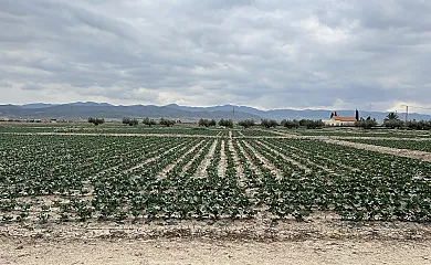 La Casa de Los Olmos en Lorca (Murcia) - Foto 21