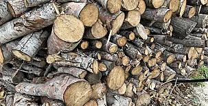 La Casa de Los Olmos 0022