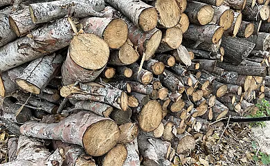 La Casa de Los Olmos en Lorca (Murcia) - Foto 22