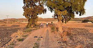 La Casa de Los Olmos 0024