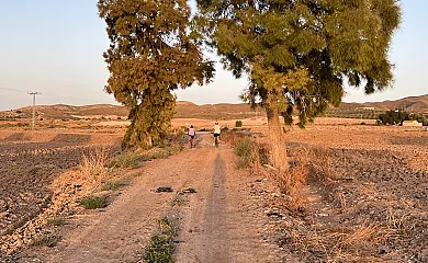 La Casa de Los Olmos en Lorca (Murcia) - Foto 24