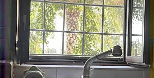 La Casa de Los Olmos 0027