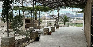 La Casa de Los Olmos 004