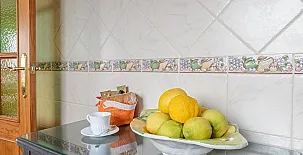 Cortijo Albaricoque 005