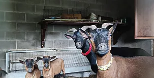 Casa Rural Can Xisquet 0026