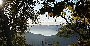 El Cortijo Prado Toro 0032