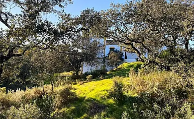 Casa Rural Los Gorriones en El Castillo de las Guardas (Sevilla) - Foto 2