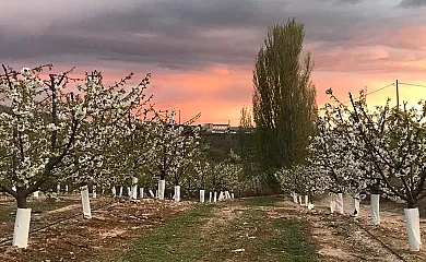 Mas del Petit en Fraga (Huesca) - Foto 8