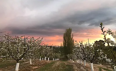 Mas del Petit en Fraga (Huesca) - Foto 17