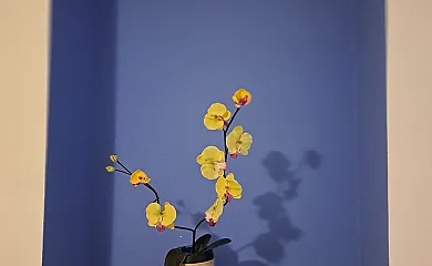 Casa Rural La Solana en Godojos (Zaragoza) - Foto 18