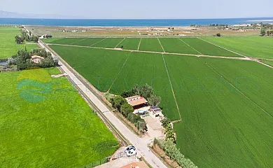 Casa Rural Mas de Felip en Deltebre (Tarragona) - Foto 1